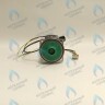 Двигатель насоса Duca APW-R 15-6.2A (против часовой стрелки) PROTHERM Пантера H-RU (0020197549, 0020209790) (замена WILO INTVACL 15/6.7-2) ПАНТЕРА 35 KTV H-RU (0020186162) (замена VACL 15/7)