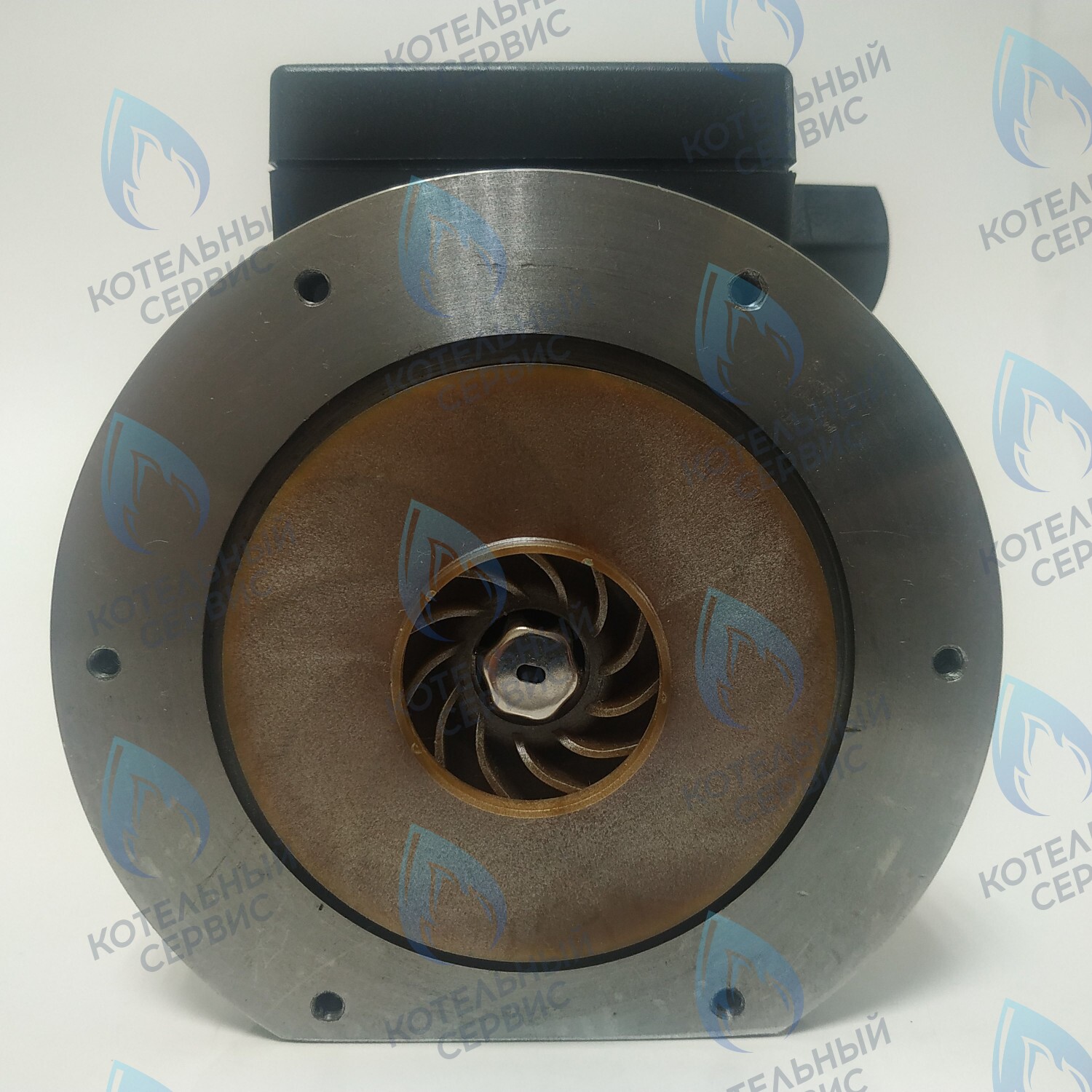 Двигатель насоса (без улитки, без фишки коннектора) ERCO 15/6 100w (для замены вместо KPM-100 S132100041, S132100050)