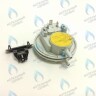 Прессостат (BI1596 102) BIASI