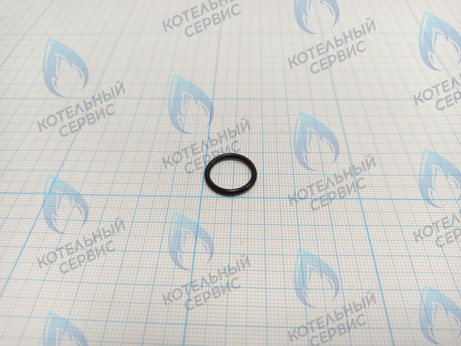 Прокладка O-Ring 1,78 X 14,00 (BI1001 129) BIASI