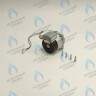 Двигатель насоса DUCA APW 15-5.1A (1 скорости) аналог Wilo Ariston (60001584, 60000876, 60000876-01)