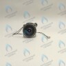 Двигатель насоса DUCA APW 15-5.1A (1 скорости) аналог Wilo Ariston (60001584, 60000876, 60000876-01)