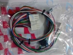 Жгут проводов PROTHERM