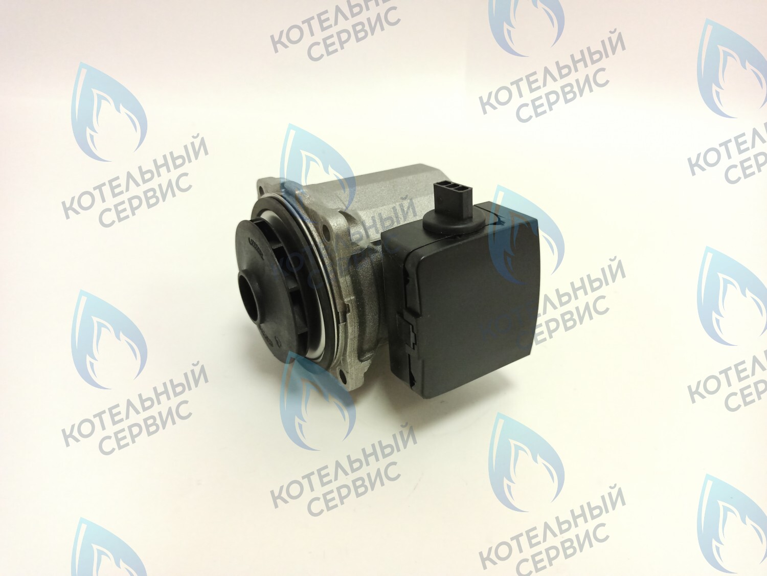 Двигатель насоса (BI1262 119) BIASI