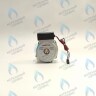 Двигатель насоса GM-PUMP NVN 15/6 Navien (30000469A, 30000469B, NAPU9GLPCT36)