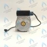 Двигатель насоса DUCA NP 15-60 Navien (30000469A, 30000469B, NAPU9GLPCT36, 30022723B, 30022723A)