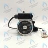 Насос циркуляционный PROTHERM (0020094635, 0020078492) / VAILLANT (0020107584)