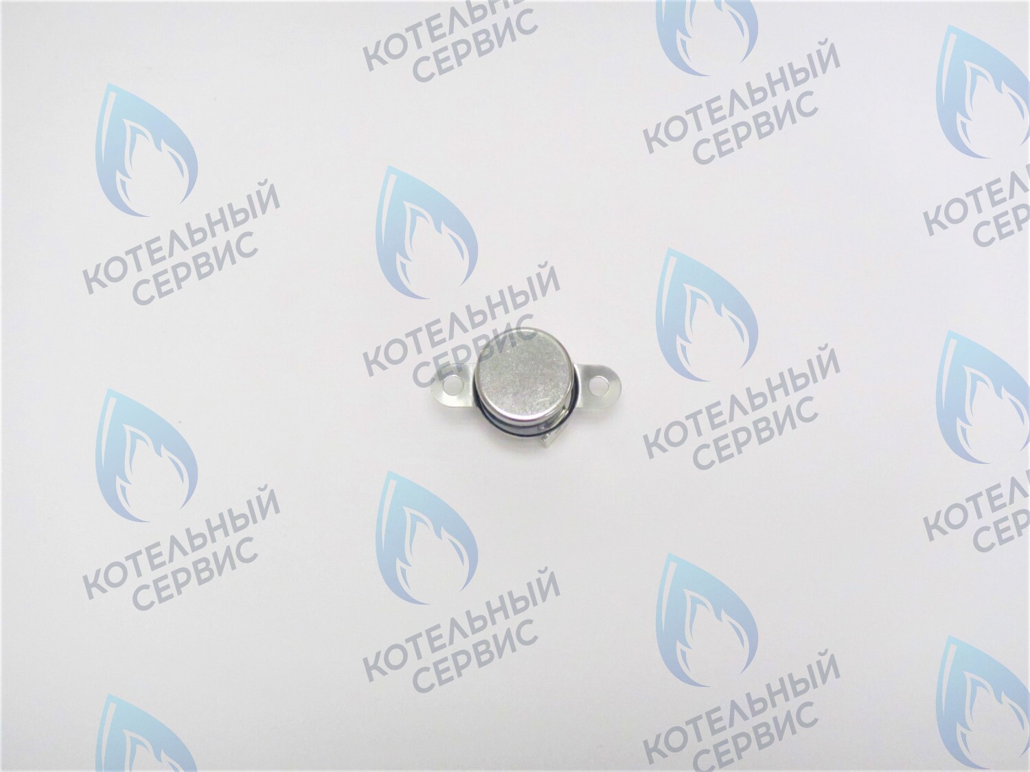 Термостат отходящих газов Alpine Light POLYKRAFT
