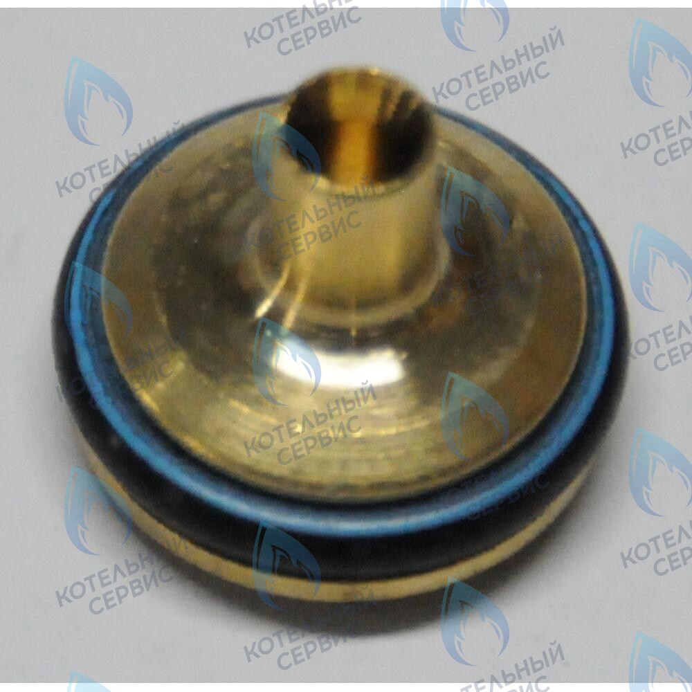 тарелочка системы отопления в сборе BAXI