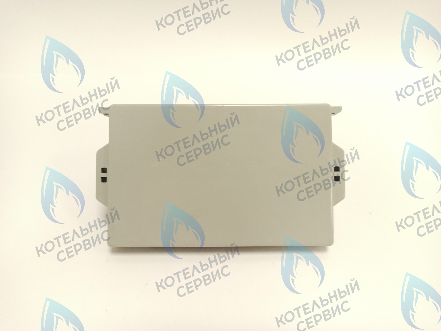 Плата управления электронная (основная) OASIS RT, BM