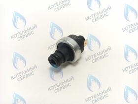 Реле давления теплоносителя M24TK MIZUDO