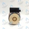 Двигатель насоса (против часовой) DD15-60 для Protherm (0020119604, 0020207146)