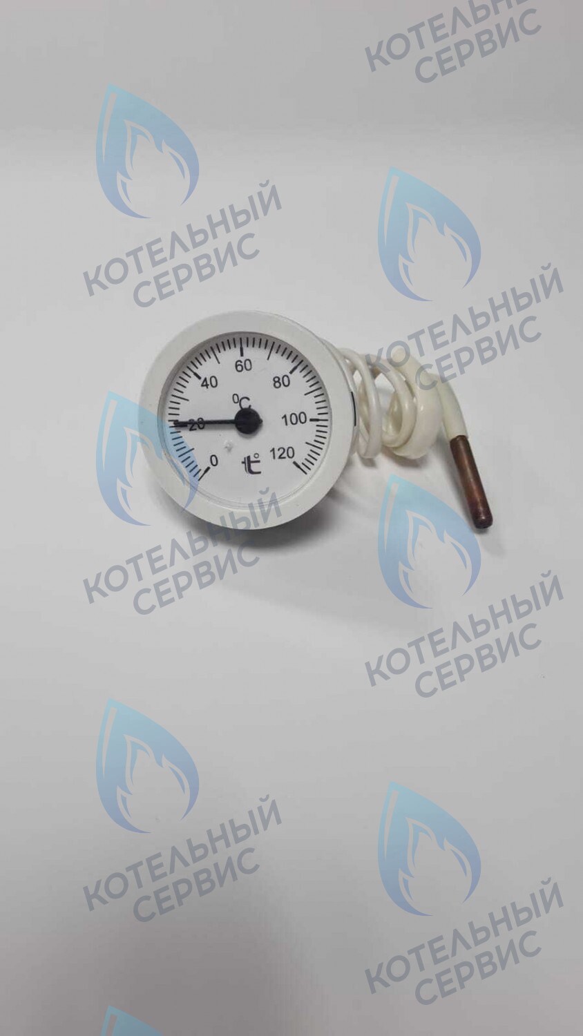 Термометр капиллярный круглый белое кольцо d 51,5 мм, длина капилляра 550 мм, 0-120С