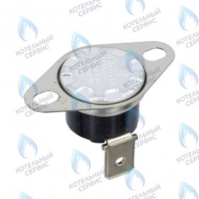 Датчик перегрева (винтовое) on\off 95-74 C DY 10 DY 13 DY 18 DY 24 DL 26 DL 30 DL 35 WL 18 WL 24 WL 26 WL 30 WL 35 WLB 18 WLB 24 WLB 26 WLB 30 WLB 35 DC 26 DC 30 DC 35 HUBERT