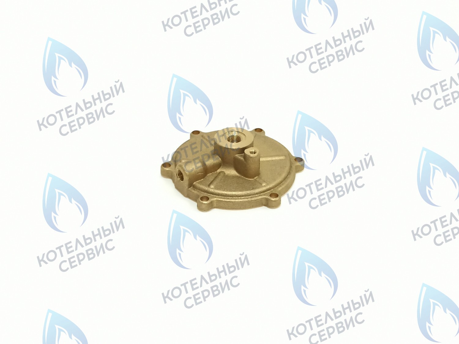 Крышка гидравлического переключателя BAXI (5629950)