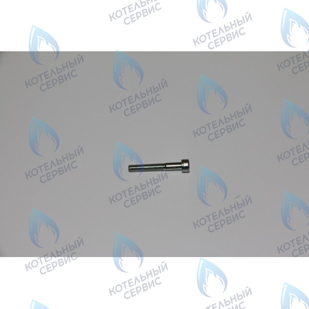 винт фиксирующий теплообменника ГВС BAXI