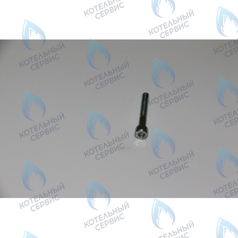 винт фиксирующий теплообменника ГВС BAXI